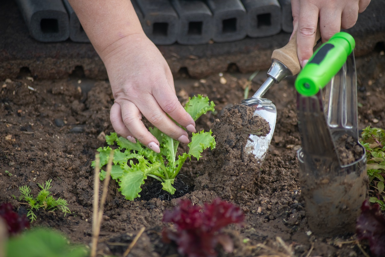 Gardening Tools