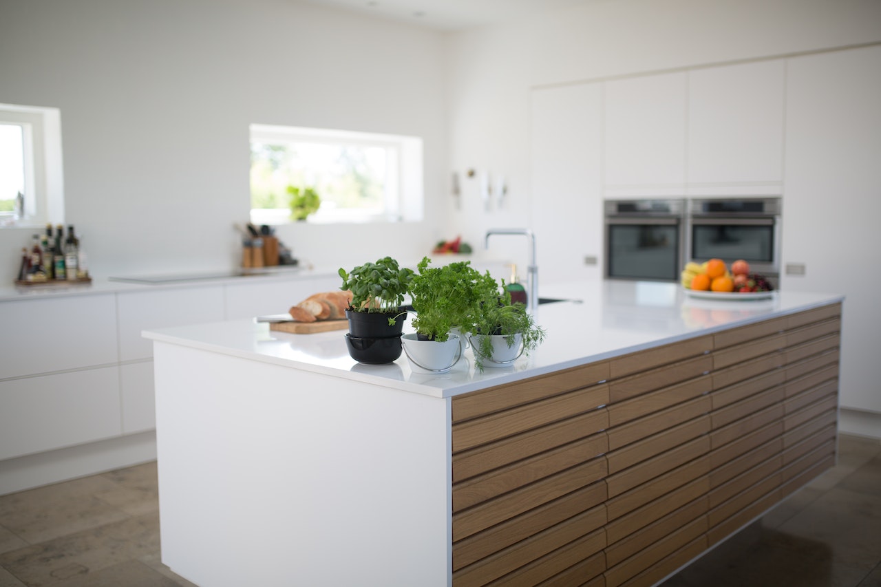 Kitchen plants